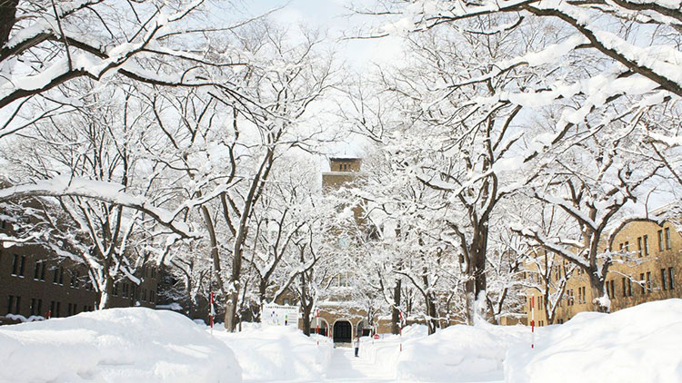 北海道大學(xué)插圖1